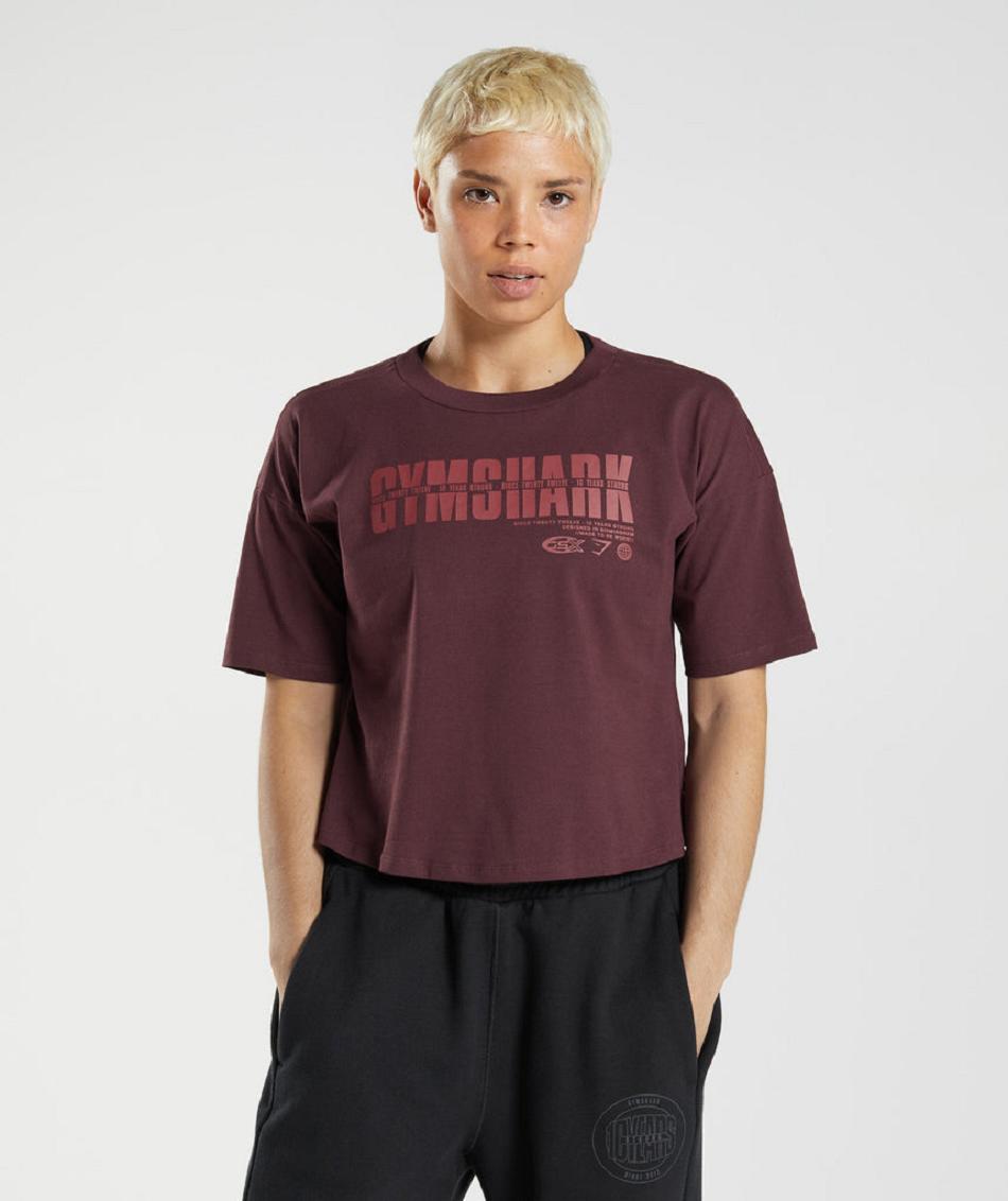 Gymshark Gs10 Year Midi Ženske Ošišane Majice Bordo | HR 3676VRW